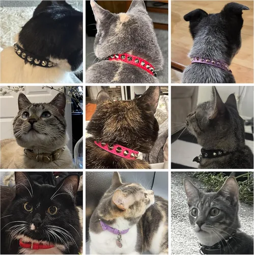 Miniatura 5 de Collares de Cuero para Gatos Niño Niña con Campana y Cinturón Elástico de Seguridad, Remaches Personalizados con Tachuelas Collar de Hebilla Segura
