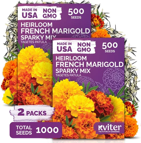 Miniatura 6 de KVITER Mezcla de 100 semillas de calabaza pequeñas (Cucurbita Pepo), paquete de 2 – Calabazas ornamentales de otoño, sin OGM – Semillas de reliquia