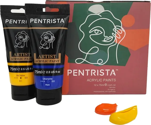 Juego de pintura acrílica de cuerpo pesado, 12 colores (2.5 fl oz/2.54 onzas), pigmento rico para lienzo, rocas, huevos, pintura profesional para