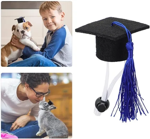Miniatura 4 de Gorra de graduación para mascotas con borla azul, 2 unidades, mini sombreros de soltero para conejillo de indias, gatos, cachorros, hámsters, perros