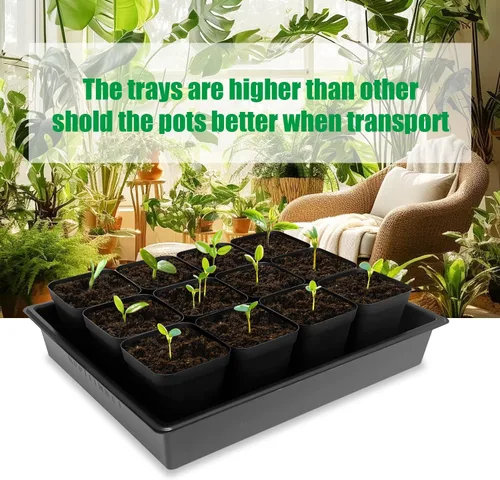Miniatura 5 de RooTrimmer Macetas cuadradas de 3.5 pulgadas (3.5 in), 60 piezas, bandejas resistentes para plántulas, 5 piezas, bandeja de germinación