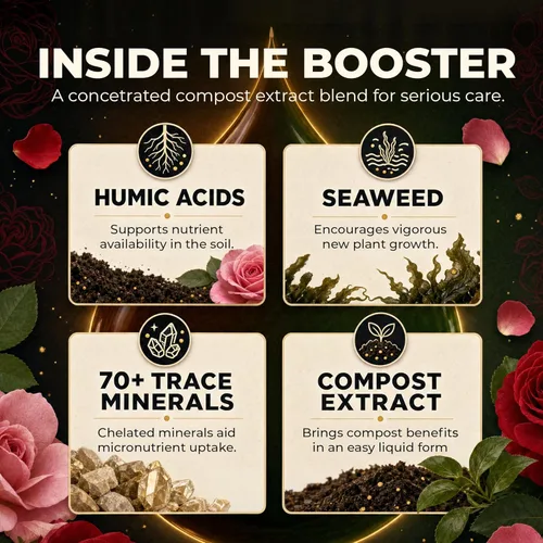 Miniatura 4 de Great Big Roses - Potenciador de fertilizante de suelo y rosas para cultivar las mejores rosas y flores; extracto de abono alimentario de rosas