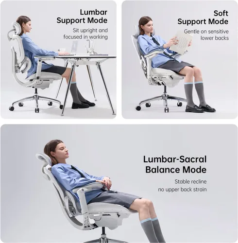 Miniatura 5 de SIHOO Doro C300 Pro V2 - Silla de oficina ergonómica sin reposapiés, soporte adaptativo de cuerpo completo, reposabrazos 8D y malla transpirable