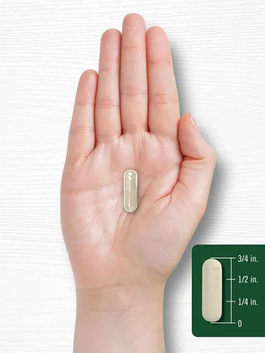 Miniatura 7 de Carlyle Gymnema Sylvestre Cápsulas 600 mg 200 unidades Suplemento sin OMG y sin gluten