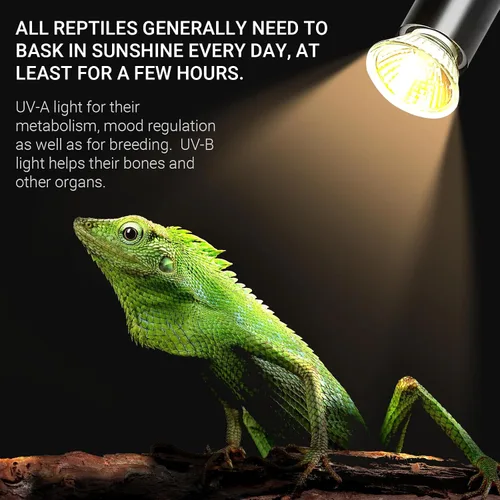 Miniatura 4 de CALPALMY Paquete de 4 bombillas de calor para reptiles UVA+UVB de 25 W, calor y luz para reptiles y tanques anfibios, terrarios y jaulas, funciona