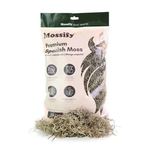 Miniatura 7 de Mossify Premium Musgo Español para Plantas Interior y Exterior 75g, 2.6Oz - Musgo Seco Natural Conservado para Manualidades, Terrarios, Arreglos