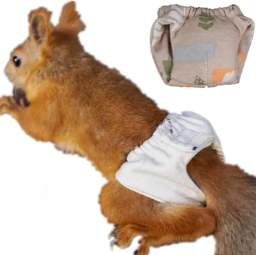 Miniatura 9 de Pañales reutilizables lavables de ardilla, altamente absorbentes, con pantalones fuertes y flexibles, sin fugas, pañales reutilizables para orina, 3
