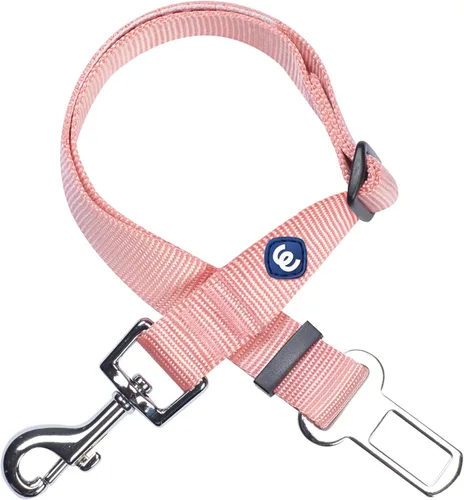 Blueberry Pet Essentials - Colección clásica de productos esenciales con más de 30 colores lisos - Collares regulares, collares personalizados y
