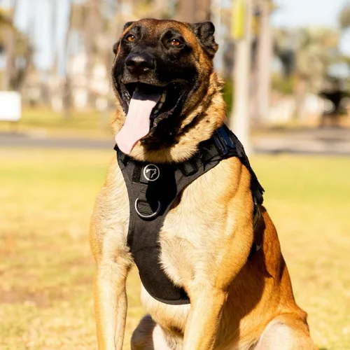 Miniatura 4 de Arnés táctico para perro (negro alfa, mediano)