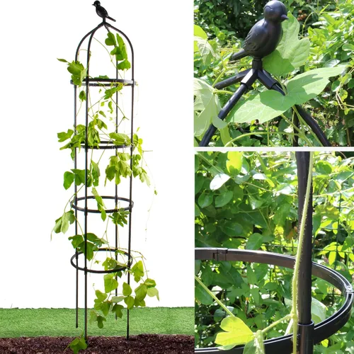 Miniatura 9 de Enrejado de jardín para plantas trepadoras, tubo de metal inoxidable con soporte resistente de 6 pies, soporte para plantas en maceta para jardín