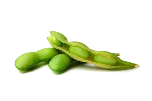 Miniatura 3 de Semillas de soja (Glycine max) – Más de 25 semillas sin OMG y reliquias de Isla's Garden Seeds, frijoles comestibles nutritivos para cultivo