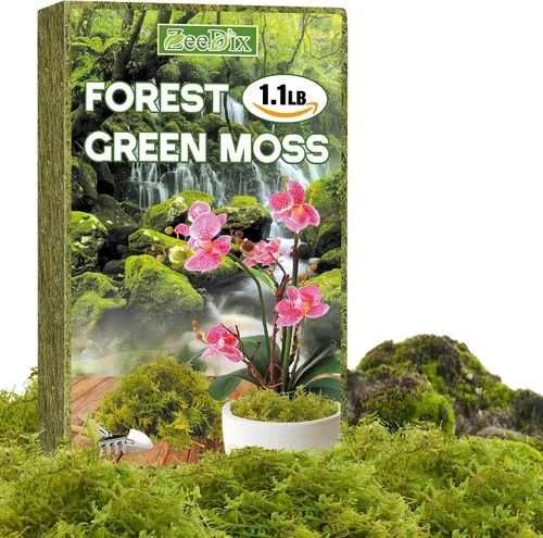ZeeDix 1.1 lb de musgo forestal para plantas de interior - Musgo de orquídea seco para replantar, musgo sphagnum verde natural para plantas en