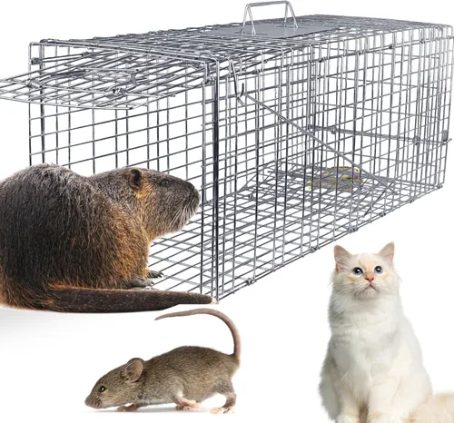 Trampa de jaula de animales vivos de 31 pulgadas, trampa plegable resistente para gatos callejeros, mapaches, ardillas, zorrillos, marmotas, topos,
