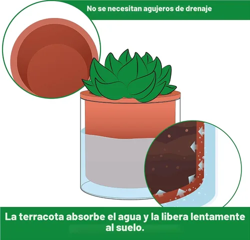 Miniatura 4 de Phoenix Vine Maceta de terracota de 4 pulgadas con autorriego para plantas, maceta cilíndrica de terracota de interior con jarrón de vidrio, juego