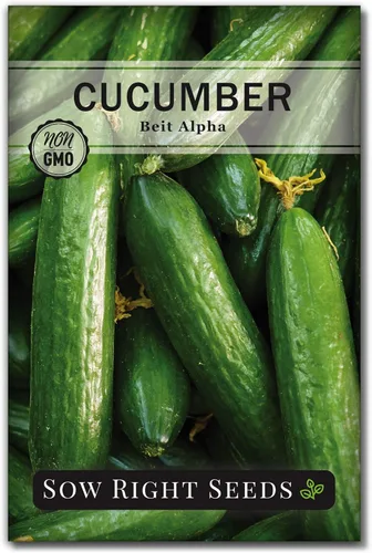Sow Right Seeds - Semillas de pepino Beit Alpha para plantar - Paquete de reliquia sin OMG con instrucciones para plantar y cultivar un huerto