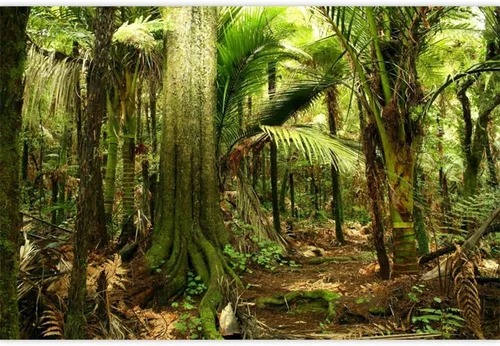 Laeacco Telón de fondo de fotografía de bosque de selva de 10 x 6.5 pies, crecimiento exuberante, helecho, tropical, bosque tropical, vegetación,