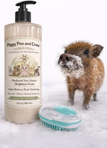 Piggy Poo and Crew Champú para mascotas Brightening con aroma a cereza, sin peróxido de lejía ni alcohol, fórmula suave con pH equilibrado para