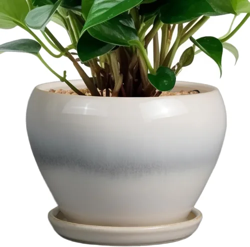 Miniatura 54 de Maceta de Cerámica Moderna con Esmalte para Suculentas con Agujero de Drenaje y Platillo, Maceta Redonda de 6 Pulgadas para Plantas de Flores
