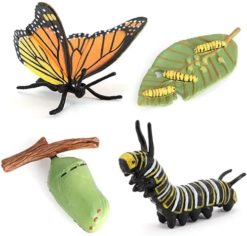 Miniatura 9 de Hvogvok Ciclo de Crecimiento de Abejas, Modelo Biológico del Ciclo de Crecimiento Animal, Conjunto de Modelo del Ciclo de Vida de Abeja Realista