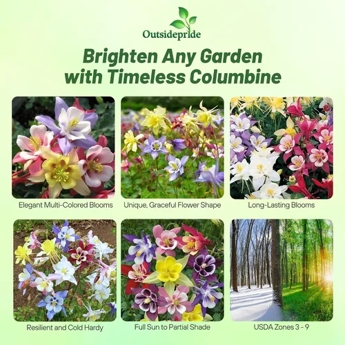 Miniatura 2 de Outsidepride Semillas de columbina mixtas, 1000 piezas de semillas de flores perennes, fáciles de cultivar para plantar, adecuadas para jardín apto