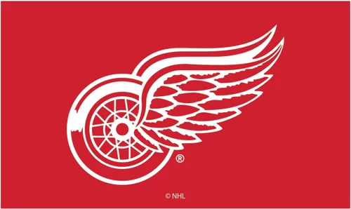 Miniatura 8 de Team Sports America Tapete con licencia oficial de la NHL 28 x 16 pulgadas (Anaheim Ducks)