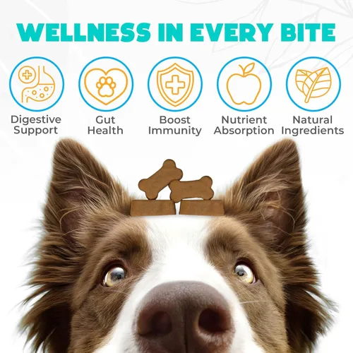 Miniatura 2 de Probióticos masticables para perros, 150 unidades, masticables probióticos para perros con enzimas e ingredientes naturales, apoyo para la salud