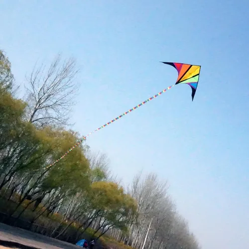 Miniatura 3 de besra 110 inch arco iris Delta Cometa con Windsock & 10 m larga cola para niños y adultos divertido Deportes al aire última intervensión para playa