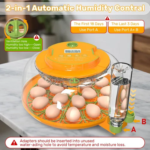 Miniatura 3 de 18 incubadoras de huevos para incubar huevos, incubadora de huevos con giro automático y control de humedad, reposición automática de agua, 2