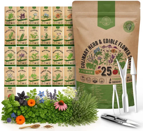 Miniatura 8 de Organo Republic Paquete variado de 12 semillas de hierbas culinarias - 7,355+ semillas criollas, sin transgénicos, para jardinería en interiores