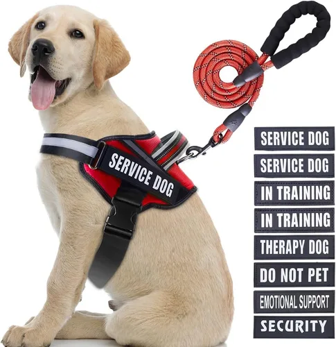 Miniatura 42 de Juego de arnés y correa para perro de servicio, arnés de entrenamiento para perro Animire con 10 parches para perros, correa reflectante para perro