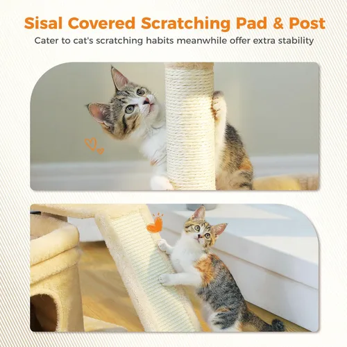 Miniatura 4 de PEQULTI Torre de árbol para gatos pequeños para gatos adultos grandes con percha superior ancha, condominio privado para gatos y poste rascador