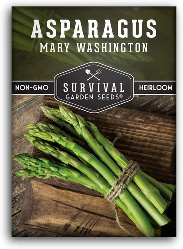 Paquete de 1 semilla de espárragos Mary Washington para plantar con instrucciones para cultivar plantas perennes de larga duración en tu huerto