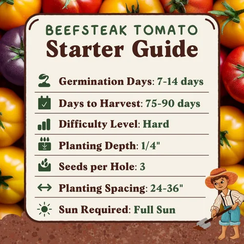 Miniatura 6 de Seedboy Semillas orgánicas de tomate Beefsteak arcoíris para plantar en interiores y exteriores, paquete de semillas de vegetales sin OMG
