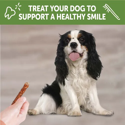 Miniatura 6 de WHIMZEES Golosinas dentales naturales de larga duración para perros, sin granos, salchicha vegetariana, pequeña, bolsa de 28