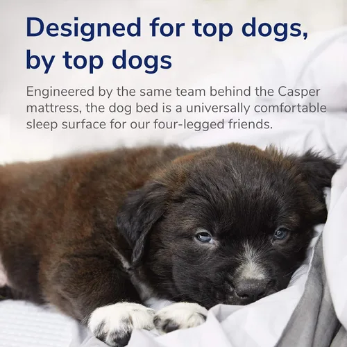 Miniatura 6 de Casper - Cama para perro de espuma viscoelástica de felpa, tamaño pequeño, color arena