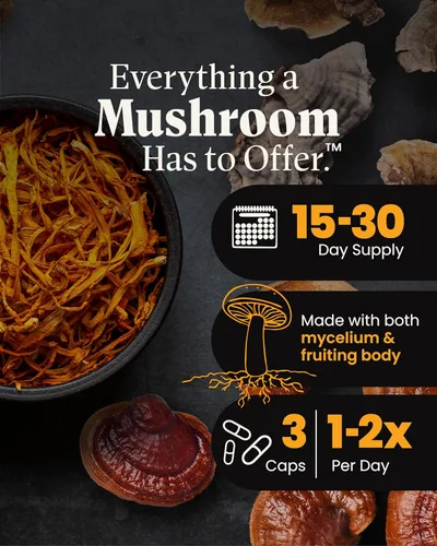 Miniatura 3 de Mushroom Wellness Everyday 10: Cápsulas orgánicas de hongos 10 en 1 con melena de león, shiitake, reishi, cola de pavo y más, suplemento en polvo