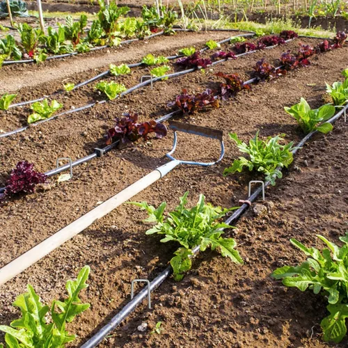 Miniatura 5 de RAOOKIF Grapas de Paisajismo de Jardín Galvanizadas de 12 Pulgadas, 20/50/100/200 Piezas Estacas de Metal para Jardín, Estacas de Suelo Resistentes