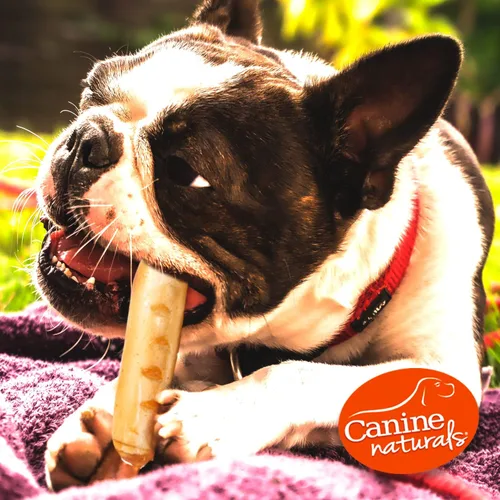 Miniatura 6 de Canine Naturals Receta de pollo masticable, golosinas para perros sin cuero crudo, hechas de pollo criado en Estados Unidos, totalmente natural