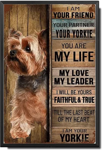 Miniatura 10 de Letrero de Metal Letrero de Hojalata Arte de Pared Vintage I Am Your Friend Regalo para Amantes de Schnauzer Arte de Pared Vintage Impresiones