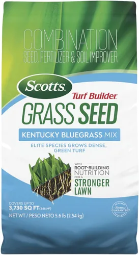 Scotts Turf Builder Grass Seed Kentucky Bluegrass Mix - Grass Seed Plus Fertilizante para césped y mejorador de suelo, crece césped verde denso,