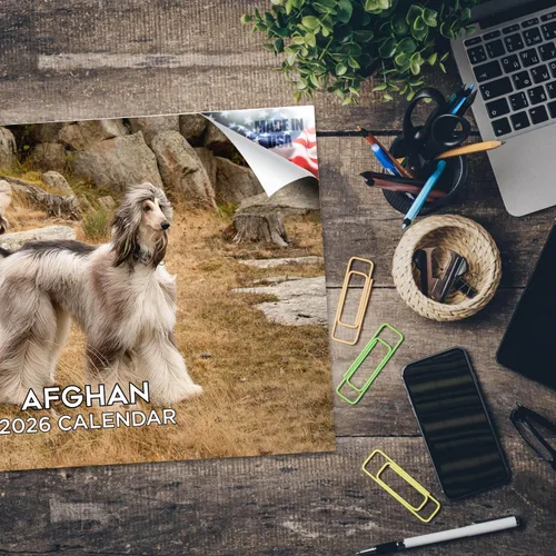 Miniatura 5 de Calendario de Lebrel Afgano 2025 2026, calendario mensual de pared de raza canina, 12" x 18" abierto, papel grueso sin traspaso, ideal para regalo