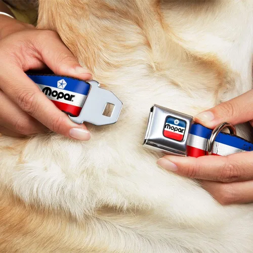 Miniatura 8 de Collar de perro hebilla de cinturón de seguridad Mopar Logo Stripe Azul Blanco Rojo 9.5 a 13 pulgadas 1.0 pulgadas de ancho
