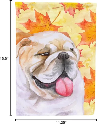 Miniatura 7 de Caroline's Treasures BB9900GF - Bandera de jardín de otoño de bulldog inglés, bandera amarilla para buzón, bandera decorativa para patio