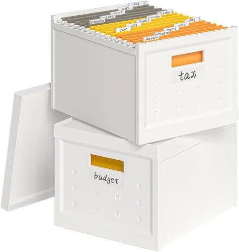 Seseno Caja organizadora de archivos con tapa, organizador universal de archivos colgantes, caja de carpetas de archivos de tamaño carta/legal,