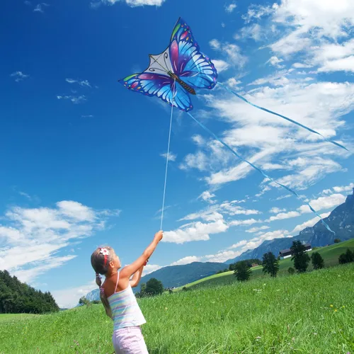 Miniatura 4 de Kite for Kids & Adults, Easy to Fly Large Kites for Beginner, Beach Kites with Durable Nylon, Family Fun Activities