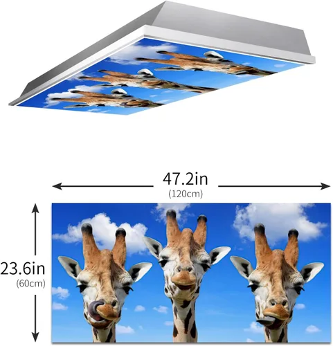 Miniatura 3 de 2 cubiertas de luz fluorescente para el aula, divertidas cubiertas magnéticas fluorescentes de jirafa, cubiertas de luz de techo, cubiertas de panel