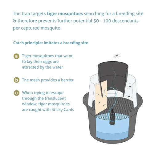 Miniatura 3 de Biogents GAT2 - Trampa para mosquitos – Trampa para poner huevos no eléctrica y ecológica para control de mosquitos tigre – 12 trampas con 10