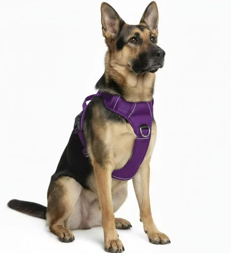 Miniatura 17 de Arnés sin tirones para perro, con 2 clips para correa, chaleco Oxford reflectante ajustable para mascotas con asa de fácil control para perros Negro