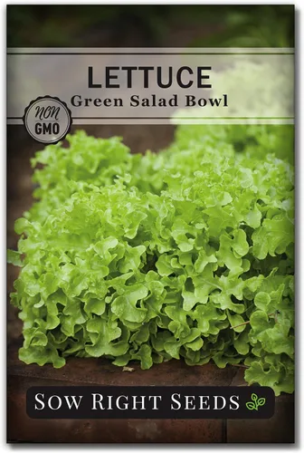 Sow Right Seeds - Ensaladera Semillas de lechuga de hojas verdes para plantar - Paquete de reliquia sin OMG con instrucciones para plantar un huerto