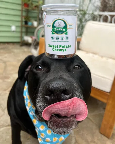 Miniatura 5 de Lucky Premium Treats Sweet Potato Chewys - Golosinas masticables para perros de tamaño de un bocado, grandes golosinas de entrenamiento para perros
